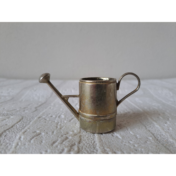 Plantenpotje van metaal in voor van een gieter 8x3x4.5cm - Plantenpotjes