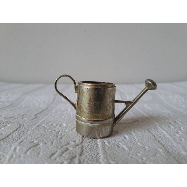 Plantenpotje van metaal in voor van een gieter 8x3x4.5cm - Plantenpotjes