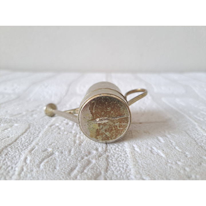 Plantenpotje van metaal in voor van een gieter 8x3x4.5cm - Plantenpotjes