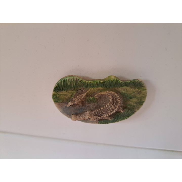 Krokodil keukenmagneet van kusthars 5.5x3x1.5cm- keukenmagneten