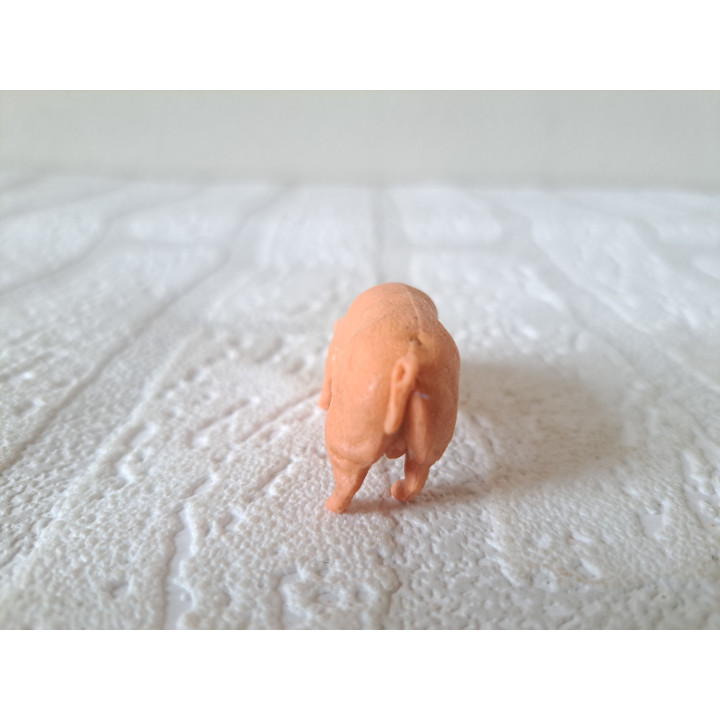Varken van kunststof Hong Kong 5x1.5x2cm - dierfiguren