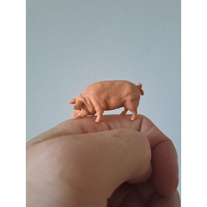 Varken van kunststof Hong Kong 5x1.5x2cm