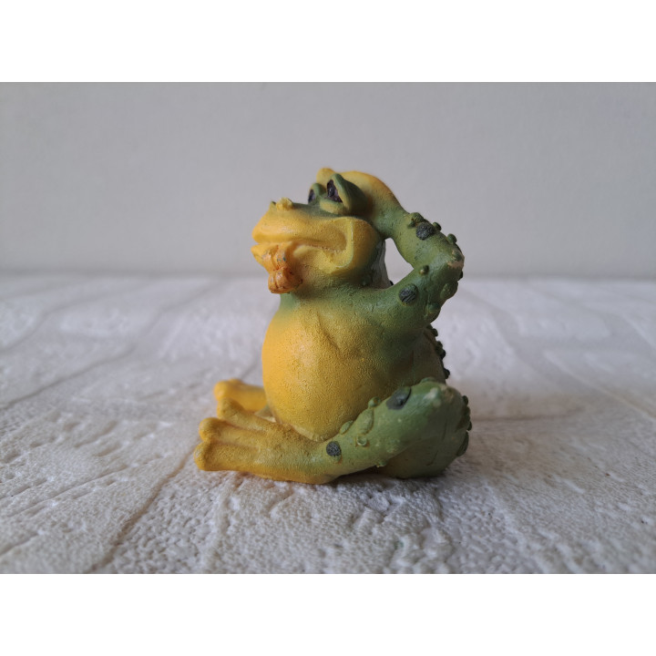 Kikker van kunsthars met een kater 8.5x6x6cm - dierfiguren