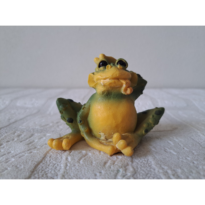 Kikker van kunsthars met een kater 8.5x6x6cm - dierfiguren