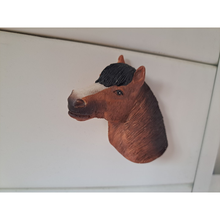 Paardenhoofd keukenmagneet van kunsthars 6x2.5x6.5cm - dierfiguren