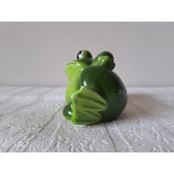 Liggende kikker spaarpot van porselein 14x8x9cm - spaarpotten