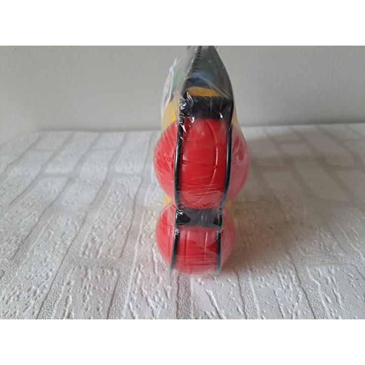 Jeu de boules set met 8 ballen en 1 but 27x7x18cm - sporten