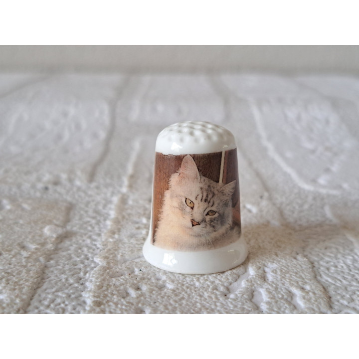 Cat on Photo Porcelain Thimble