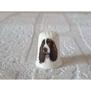 Engelse Springer Spaniel hond vingerhoedje