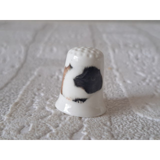 Gekleurde Cavia vingerhoedje