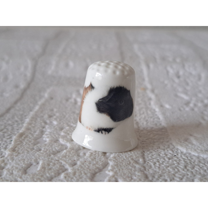 Gekleurde Cavia vingerhoedje