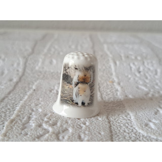 Eekhoorn in het bos vingerhoedje Eekhoorn in het bos vingerhoedje