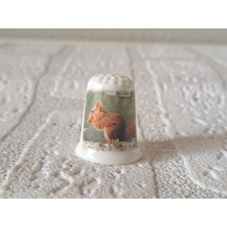 Eekhoorn foto vingerhoedje Eekhoorn foto vingerhoedje