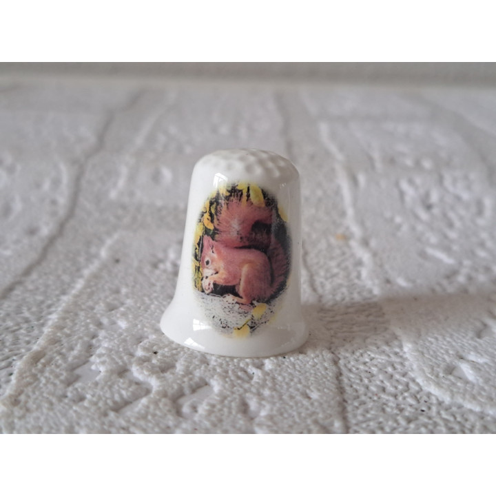 Eekhoorn aan het knabbelen vingerhoedje Eekhoorn aan het knabbelen vingerhoedje