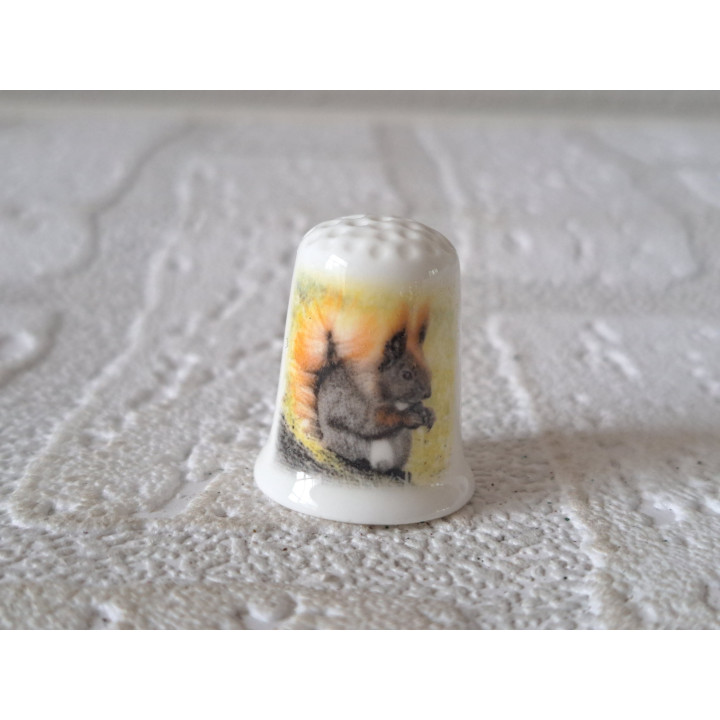 Eekhoorn op het gras vingerhoedje Eekhoorn op het gras vingerhoedje