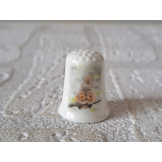 Eekhoorn op het gras vingerhoedje Eekhoorn op het gras vingerhoedje