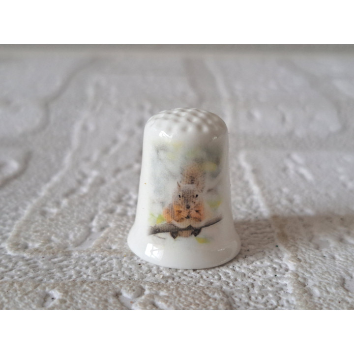 Eekhoorn op het gras vingerhoedje Eekhoorn op het gras vingerhoedje