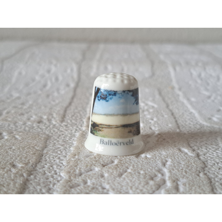 Natuurgebied Balloerveld gemeente Aa en Hunze vingerhoedje Natuurgebied Balloerveld gemeente Aa en Hunze vingerhoedje