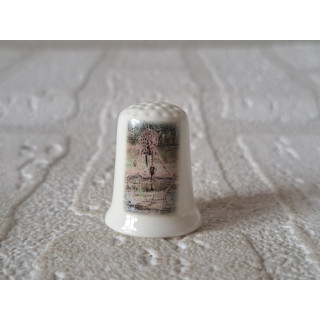 Giraffe drinkt water vingerhoedje