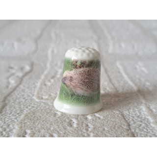 Egel op het gras vingerhoedje