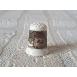 Egel op de tafel vingerhoedje