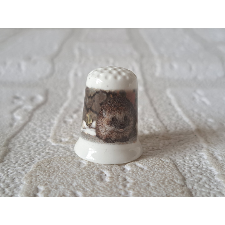 Egel op de tafel vingerhoedje