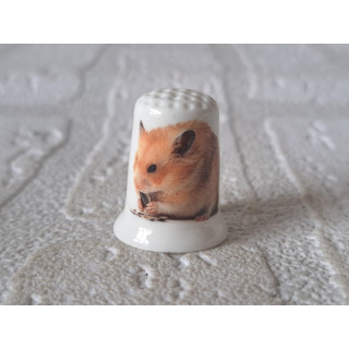 Hamster aan het eten vingerhoedje