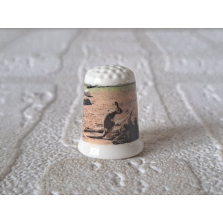 Kangoeroe met jong vingerhoedje