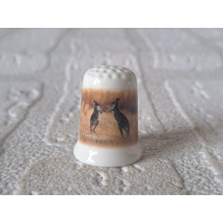 Kangoeroes vechten vingerhoedje