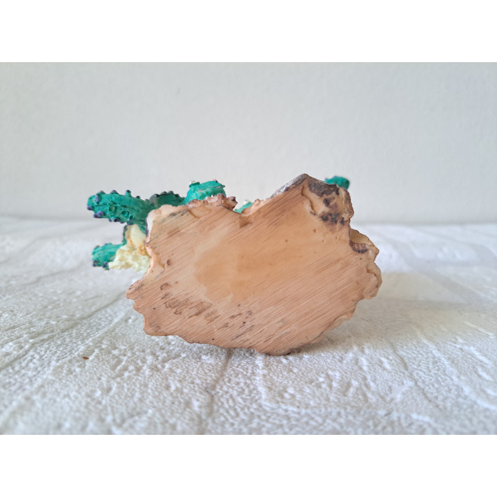 Schildpadden en koraal, donkgroen, kunsthars 11.5x5.5x10.5cm - dierfiguren