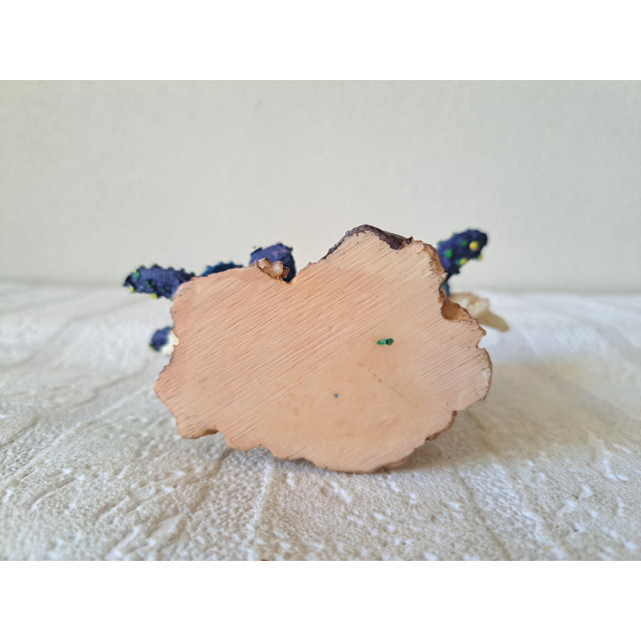 Schildpadden en koraal, blauw, kunsthars 11.5x5.5x10.5cm - dierfiguren