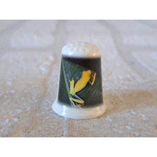 Roodoogmakikikker foto vingerhoedje