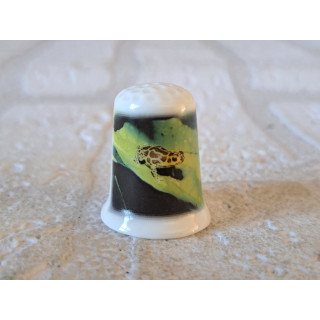 Oophaga pumilio "Guarumo" Kikker vingerhoedje