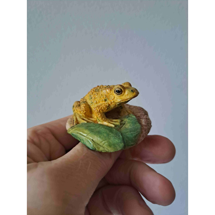 Puerto Ricaanse kuifpad, kunsthars 5.5x6x3.5cm