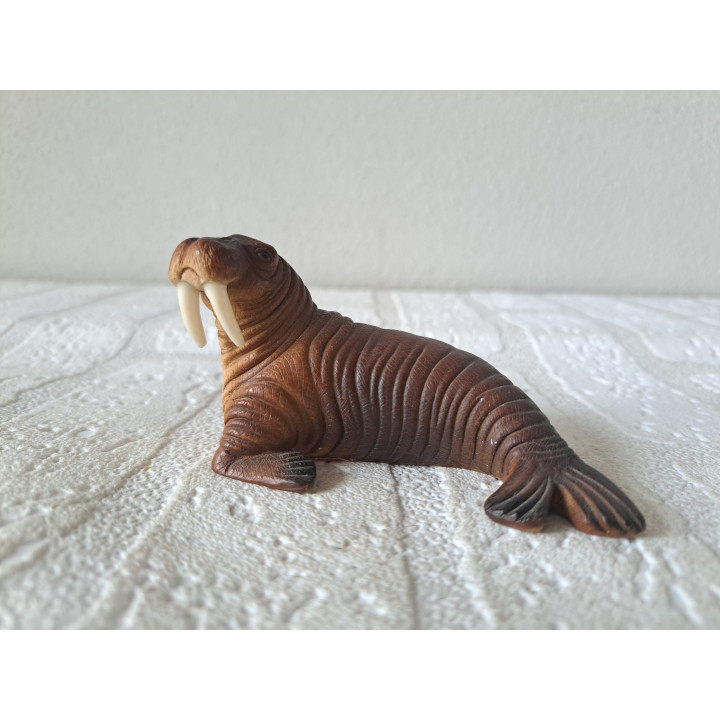 Walrus, kusthars Lucchesi FARO 9x5x5cm - dierfiguren