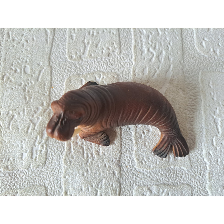 Walrus, kusthars Lucchesi FARO 9x5x5cm - dierfiguren