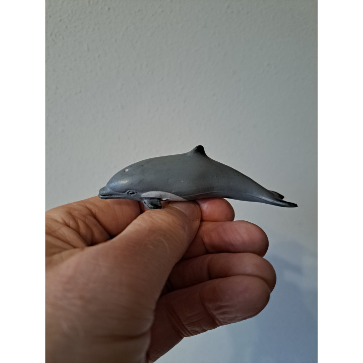 Dolfijn van rubber 9x2.5x3cm