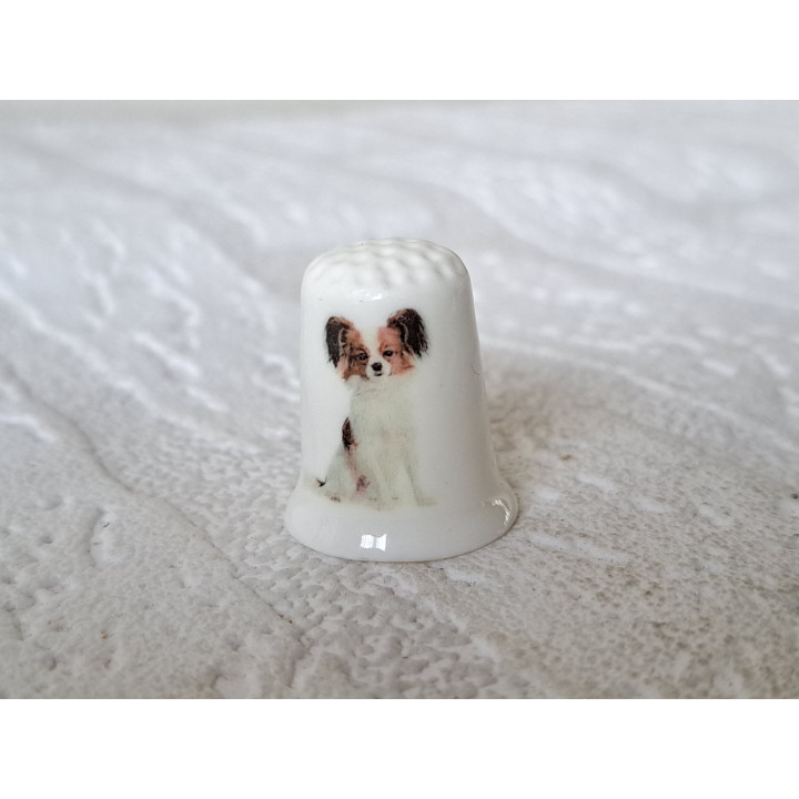 Papillon hond Vlinderhondje hond vingerhoedje