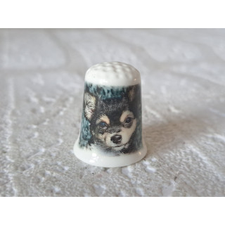 Kop van Chihuahua hond vingerhoedje