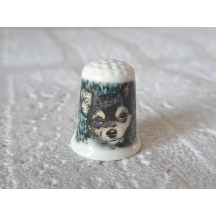 Kop van Chihuahua hond vingerhoedje