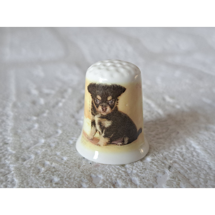 Chihuahua pup hondje vingerhoedje