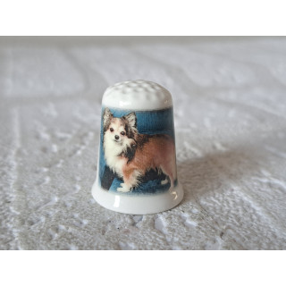 Chihuahua langharig hond vingerhoedje Chihuahua langharig hond vingerhoedje
