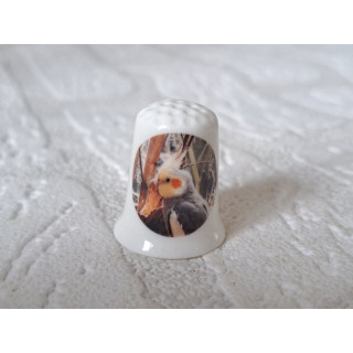 Valkparkiet vogel vingerhoedje