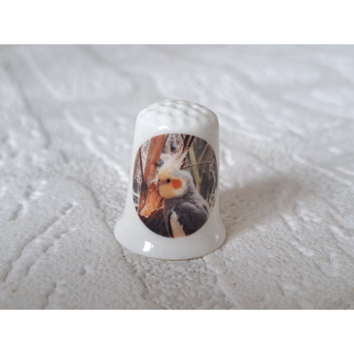 Valkparkiet vogel vingerhoedje Valkparkiet vogel vingerhoedje