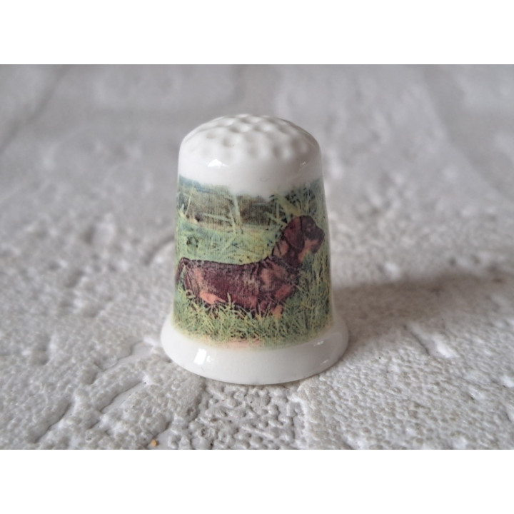 Teckel hond op het gras vingerhoedje