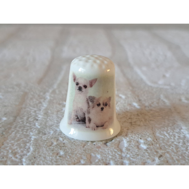 Twee Chihuahua honden vingerhoedje