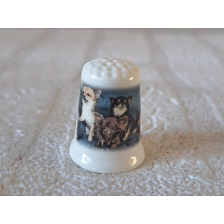 Meerdere Chihuahua honden vingerhoedje