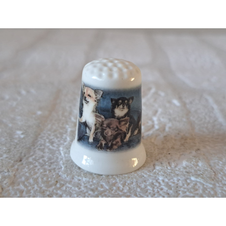 Meerdere Chihuahua honden vingerhoedje