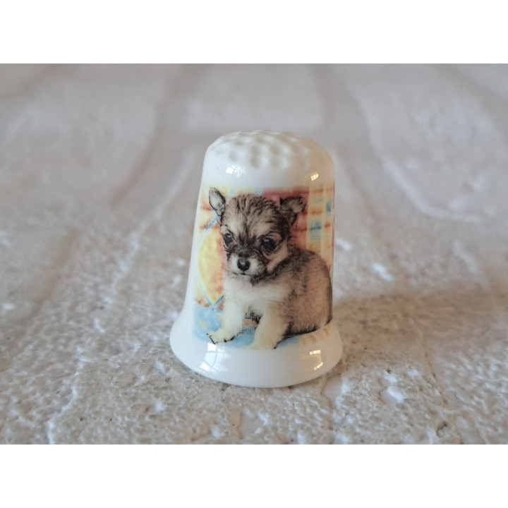 Chihuahua puppie hond vingerhoedje