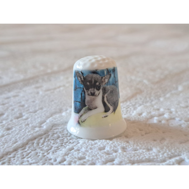 Chihuahua hond met zwarte vacht vingerhoedje Chihuahua hond met zwarte vacht vingerhoedje